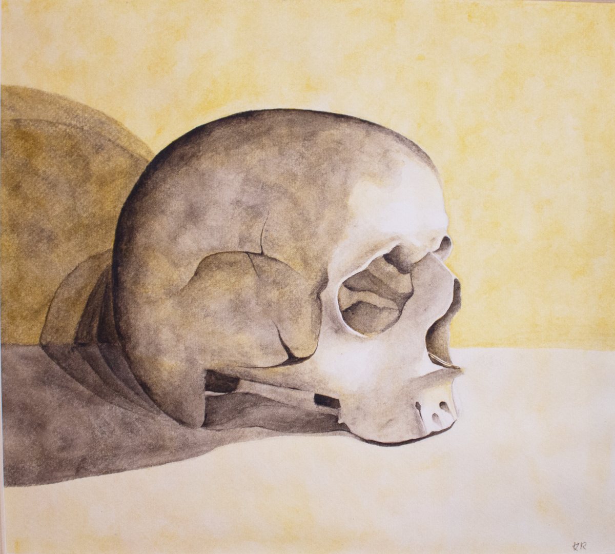 Still life: watercolour study