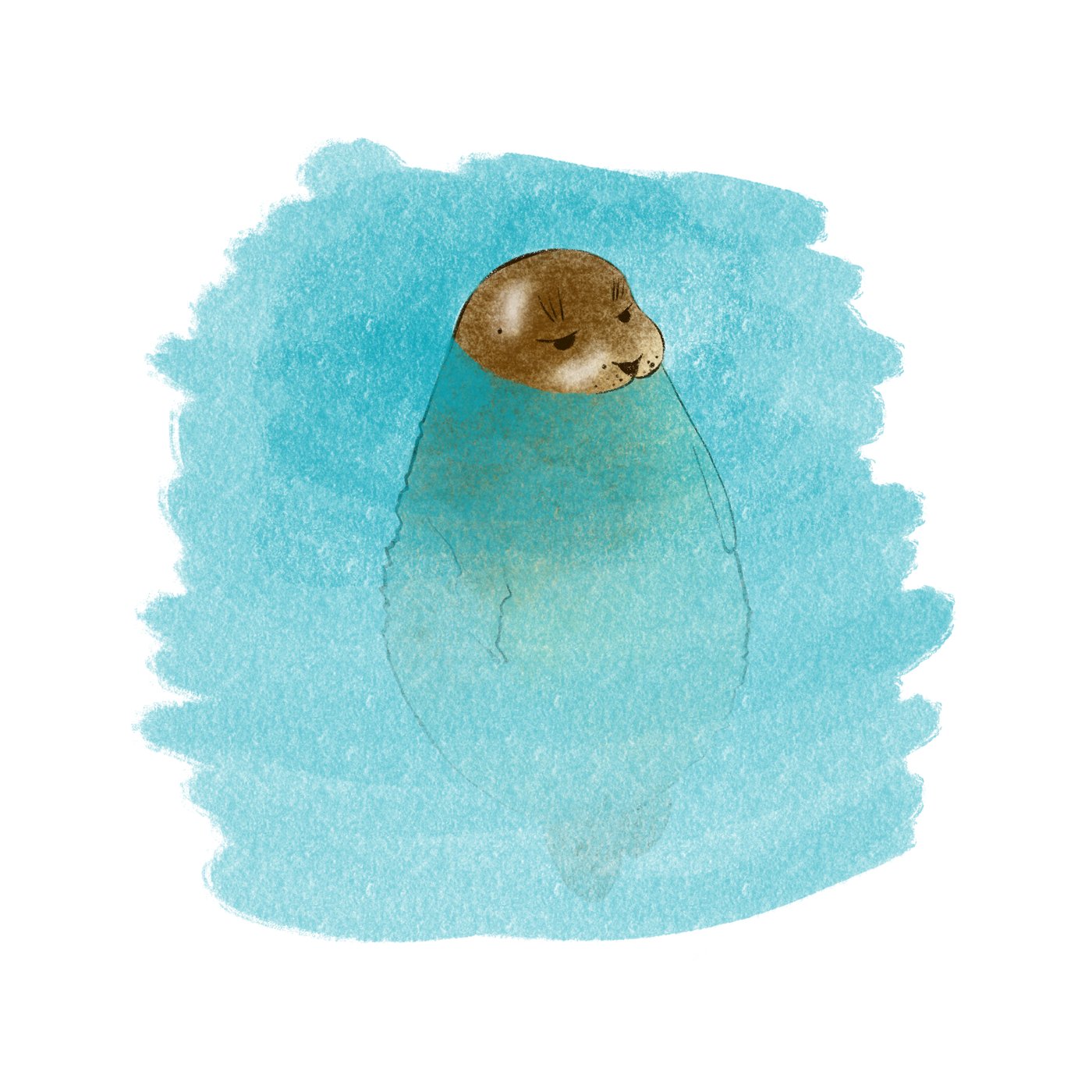 Seal: illustration