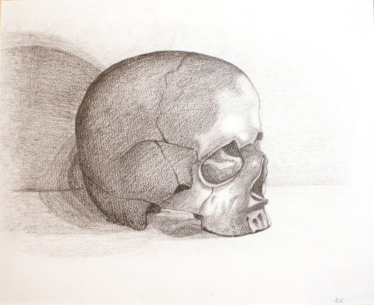 Still life: drawing study