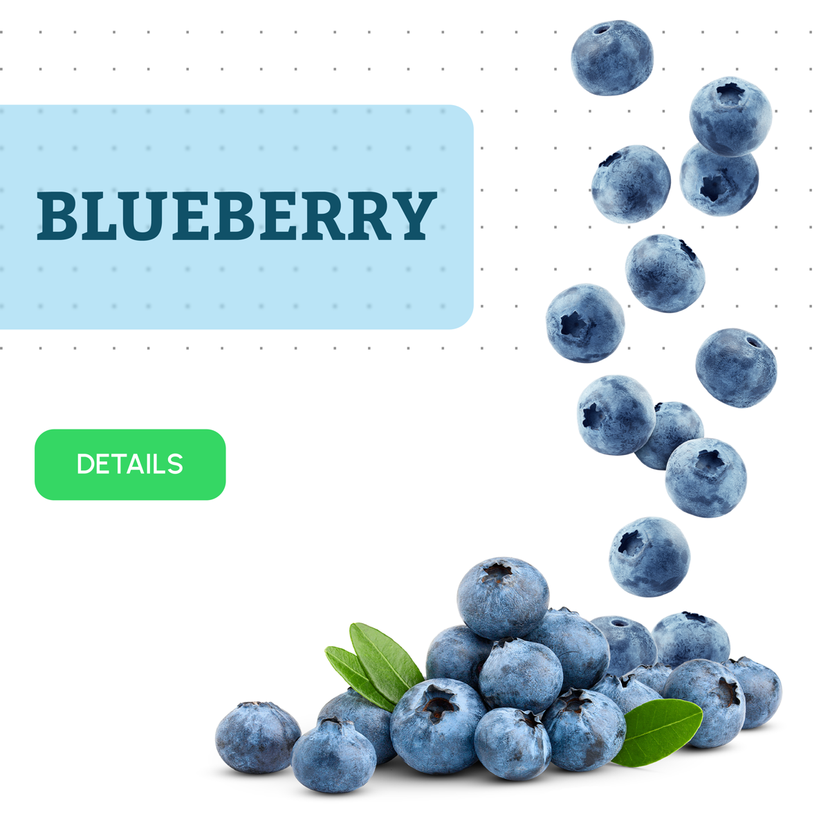 Blueberry product visual