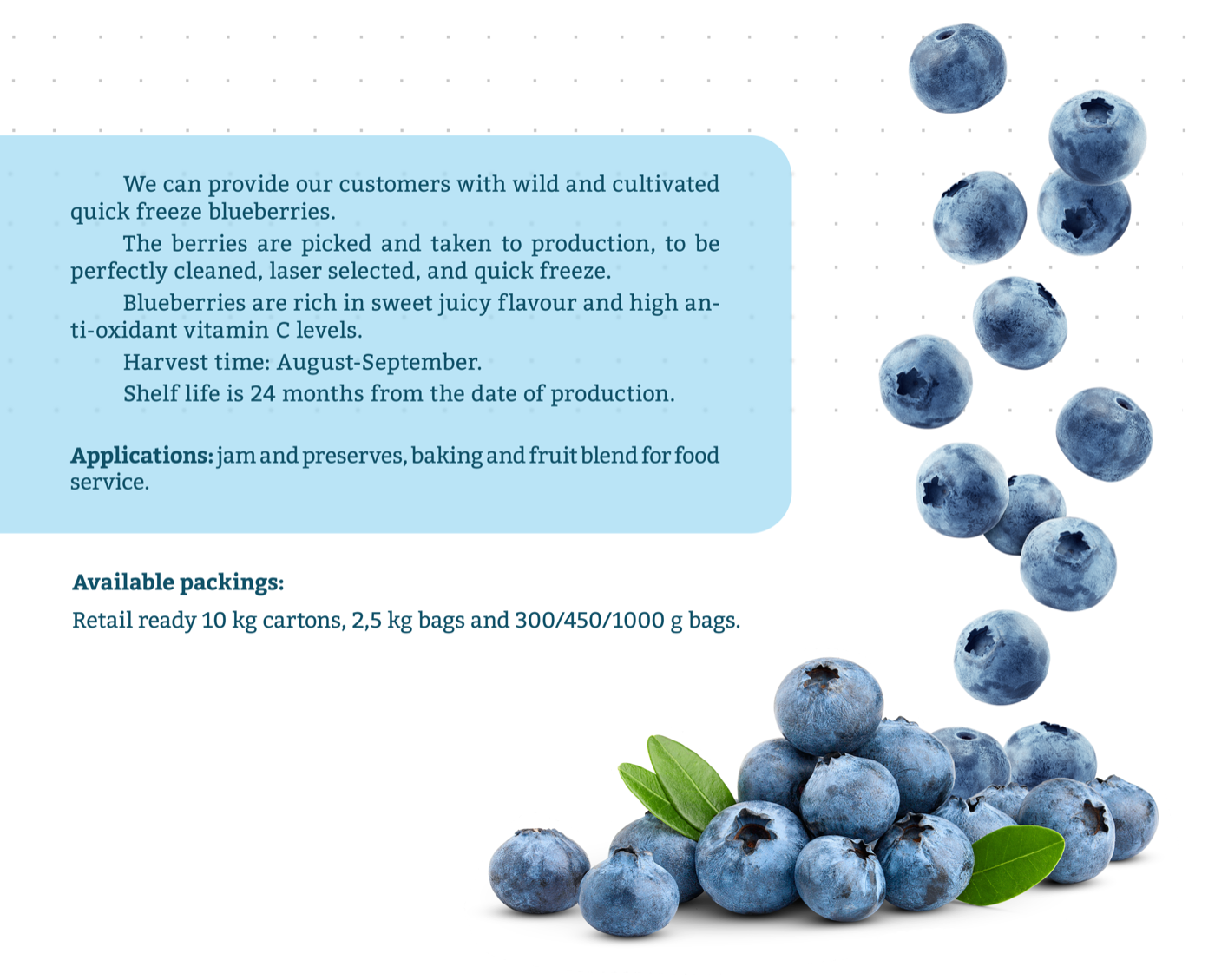 Blueberry detail page with product description