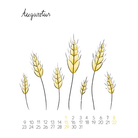 August page with a hand-painted nature illustration