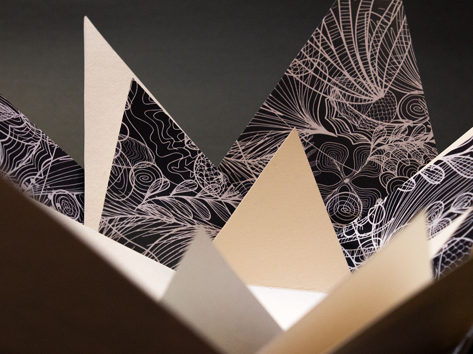 An open star-shaped gift box with botanical patterns