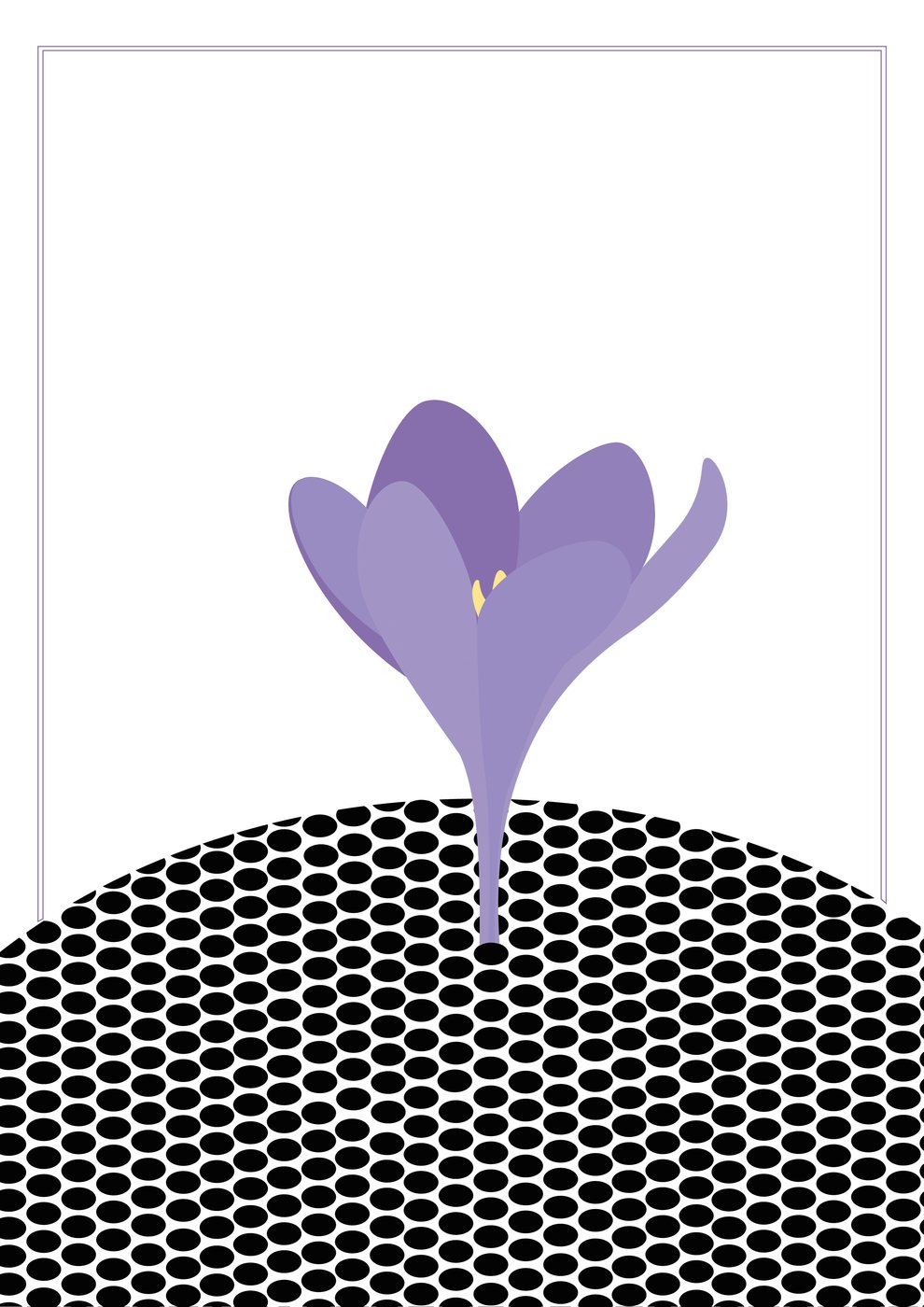 Haiku summer: a purple crocus above a pattern
