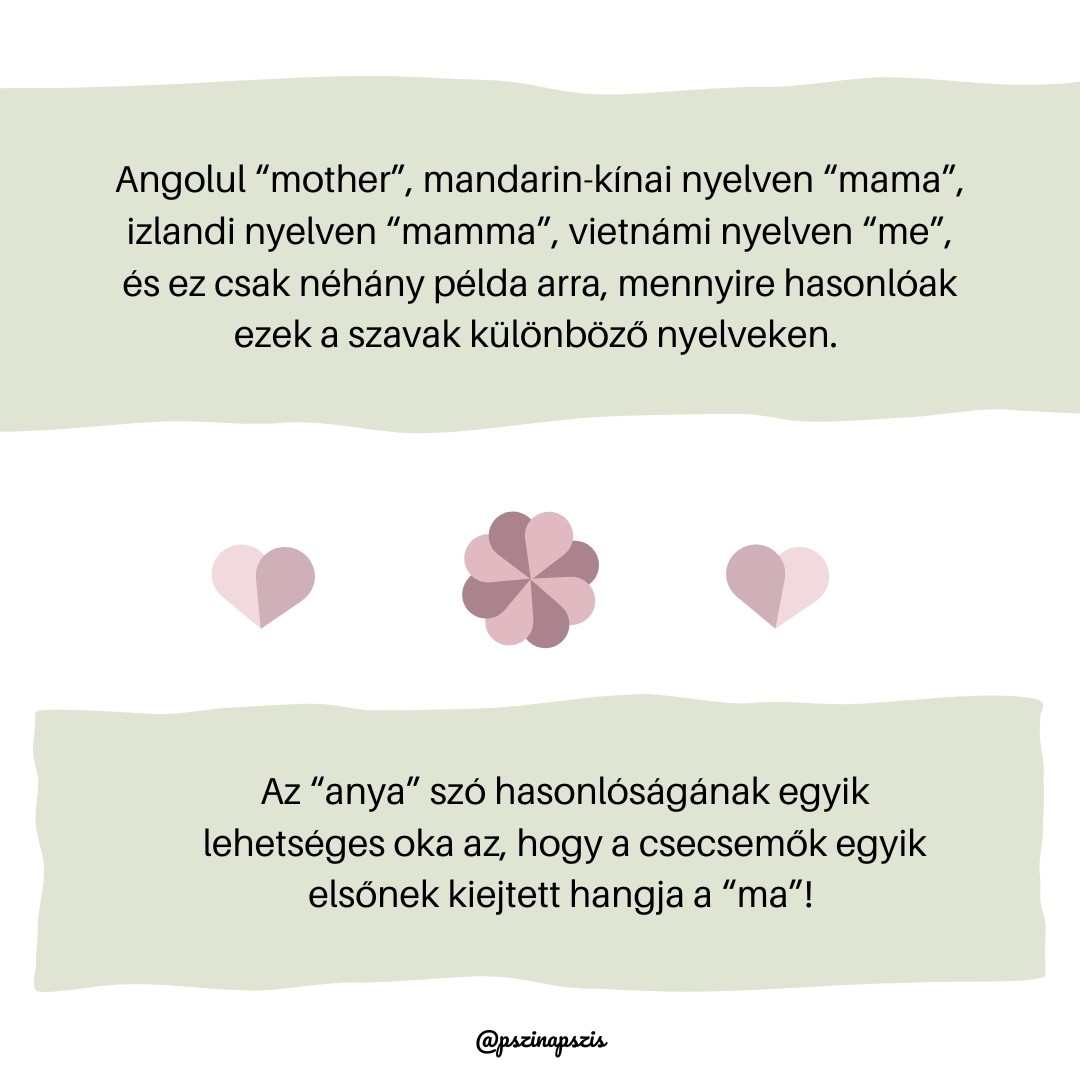 Carousel slide about the word mother in different languages