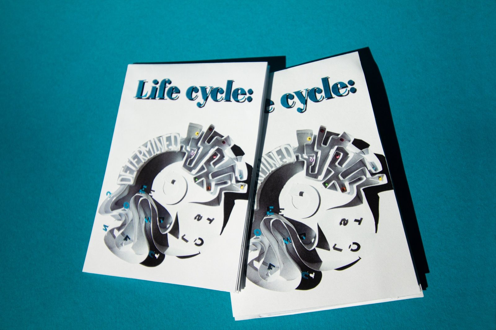 Two copies of the Life cycle zine on a teal background, showing the paper-cut typography on the cover