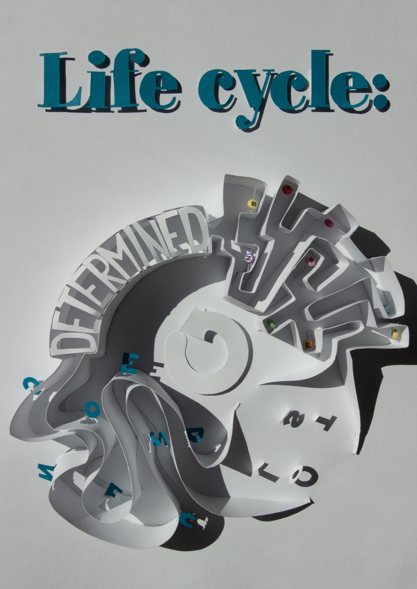 Final poster: Life cycle in teal above the paper ring of determined, confused, lost and searching