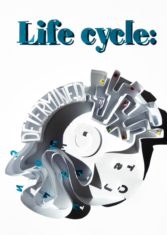 Zine cover with the poster and the Life cycle title