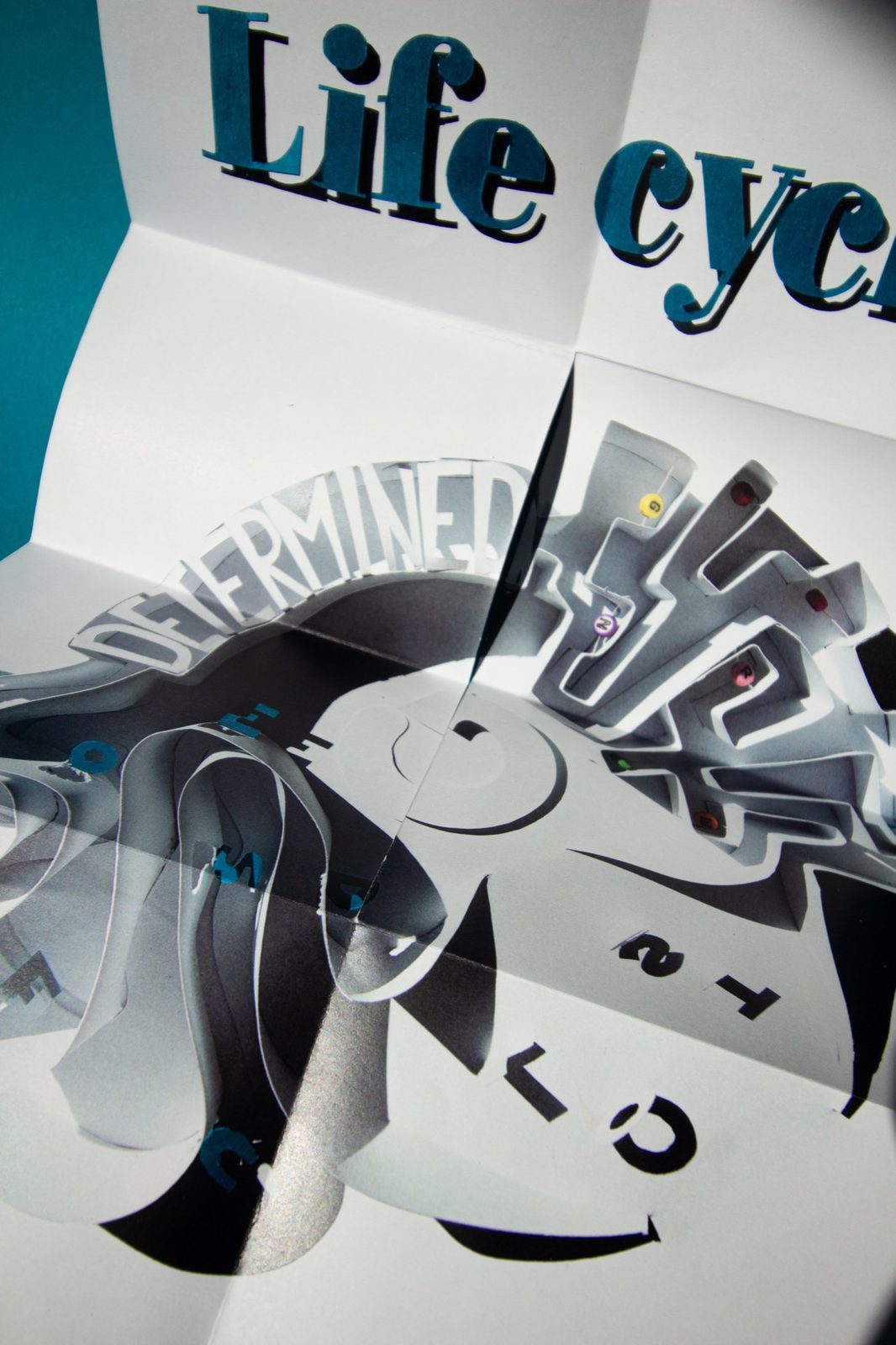 Fully unfolded sheet showing the poster with fold lines