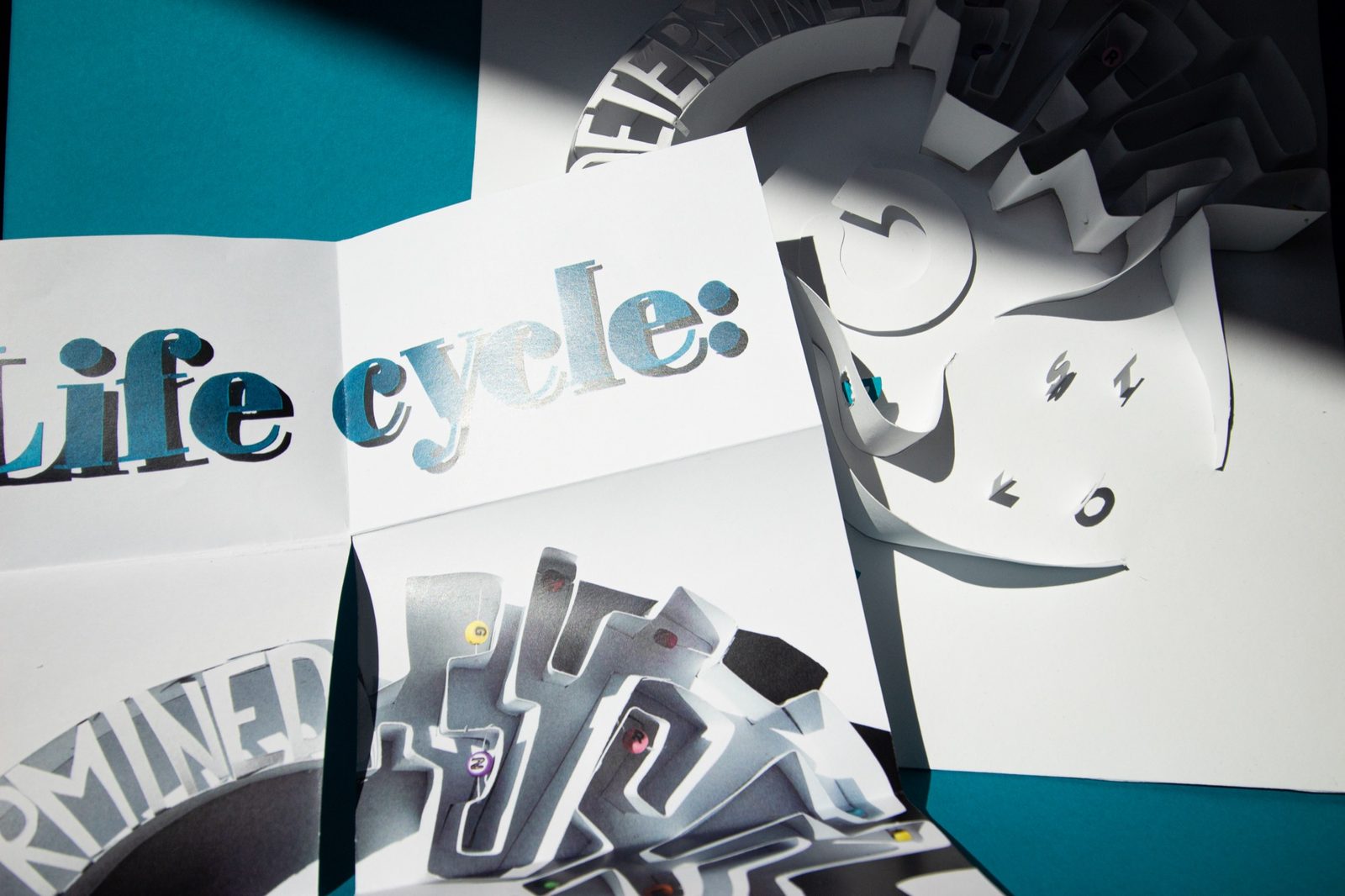 Unfolded poster lying in the sun next to the paper original